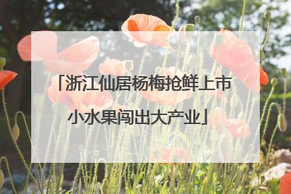 浙江仙居杨梅抢鲜上市 小水果闯出大产业